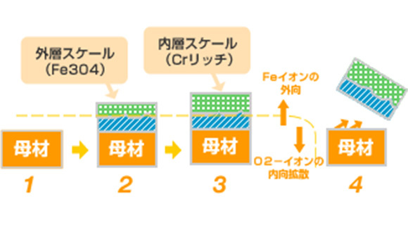 水蒸気酸化スケール生成・成長メカニズム