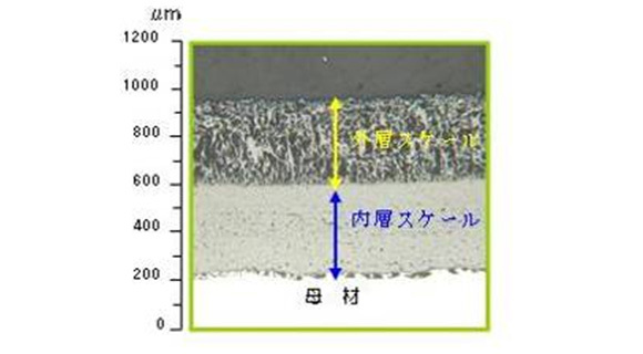 水蒸気酸化スケールの断面図